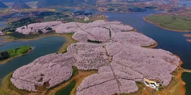 兄弟同體 视频截图