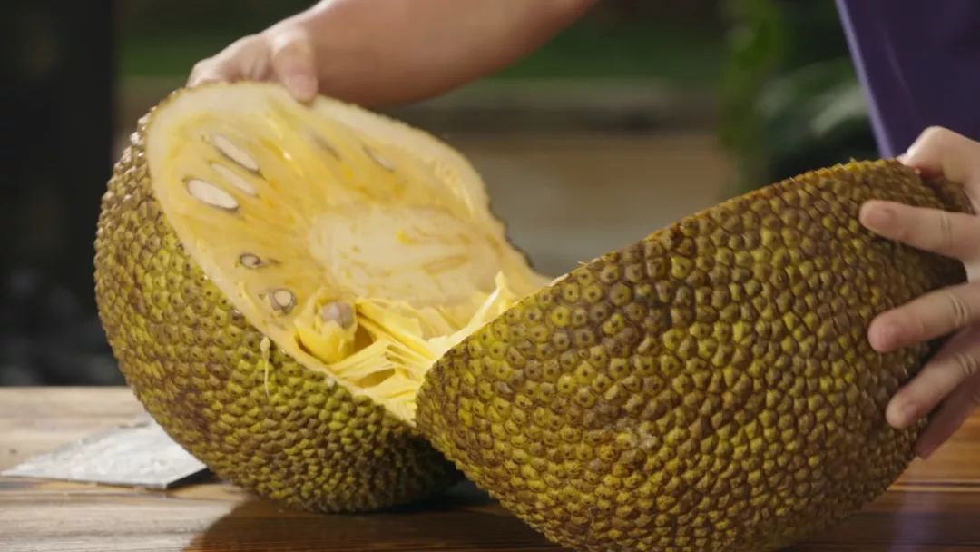 傀儡姬·彼岸花 视频截图