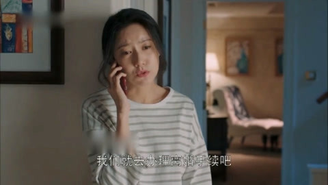 偷天換日（國語版）