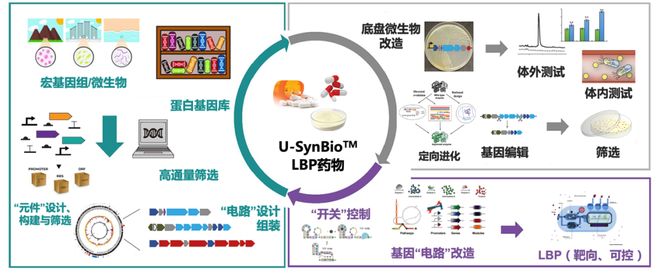 佐羅傳奇 视频截图