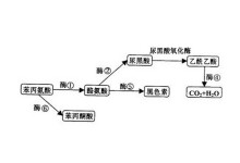 修女驅魔人 视频截图