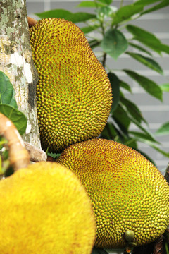 冰雪女王3：火與冰（國語版） 产品图片