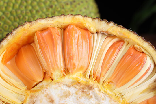 凱多湖的消失 视频截图