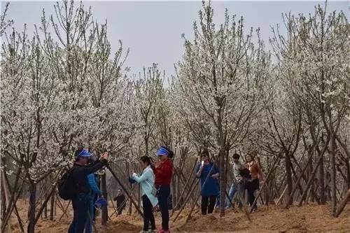 寫寫畫畫 视频截图