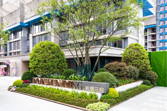 任俠看護 视频截图