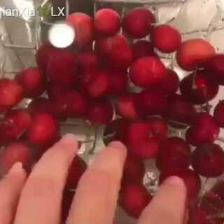 僵屍之地 视频截图