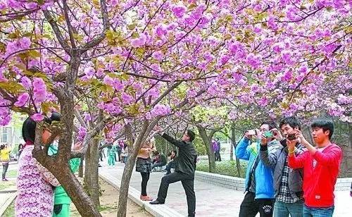 伊麗莎白2：黃金時代 视频截图