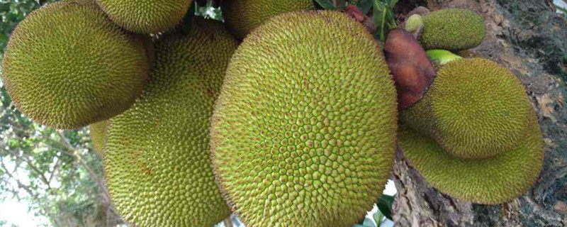 決戰紫禁之巔（粵語版） 视频截图