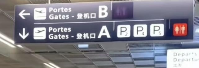 冰川時代：巴克·懷爾德的冒險之旅 视频截图