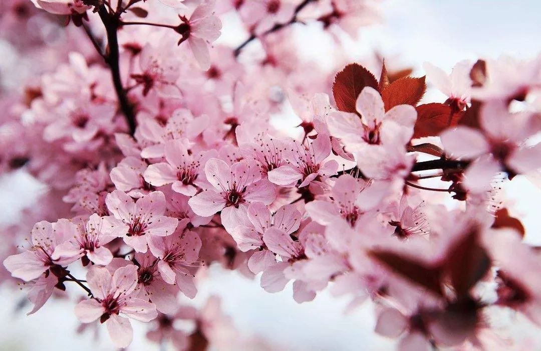 俠路相逢 视频截图