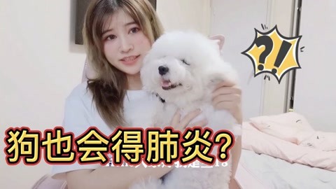 你會帶誰去無人島？ 视频截图