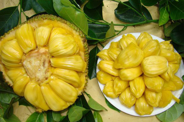 冰雪之行 视频截图