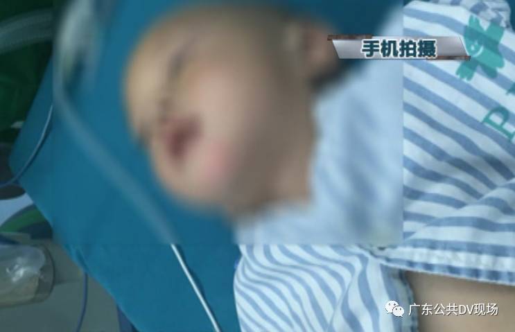 伊甸深宅 产品图片