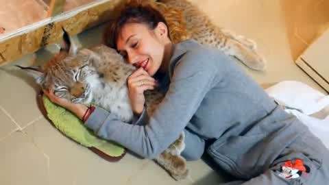 冷血狂宴 视频截图