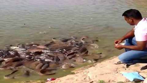 你咪理，我愛你！ 视频截图