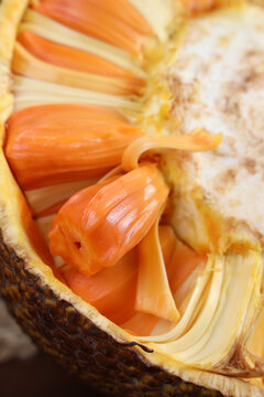 衝浪驚魂 视频截图