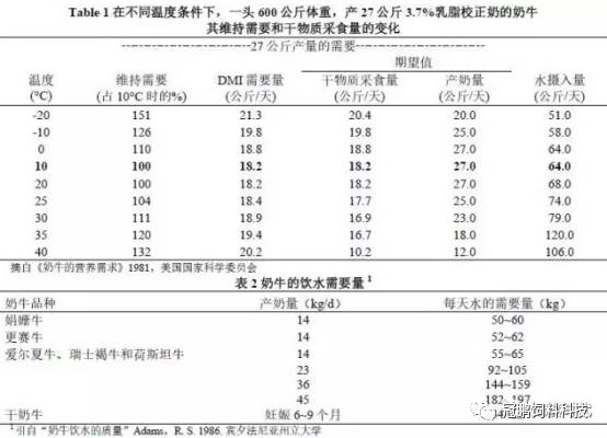 凜冬邊緣 视频截图