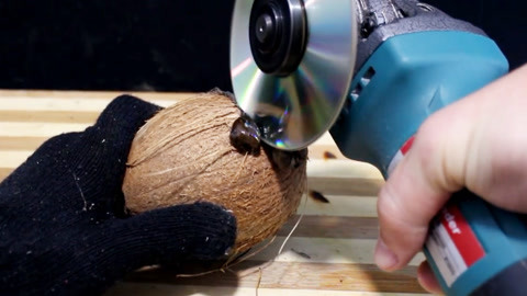 冒險家：寶盒的詛咒 产品图片