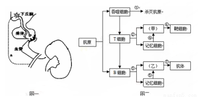 雙龍會2 视频截图