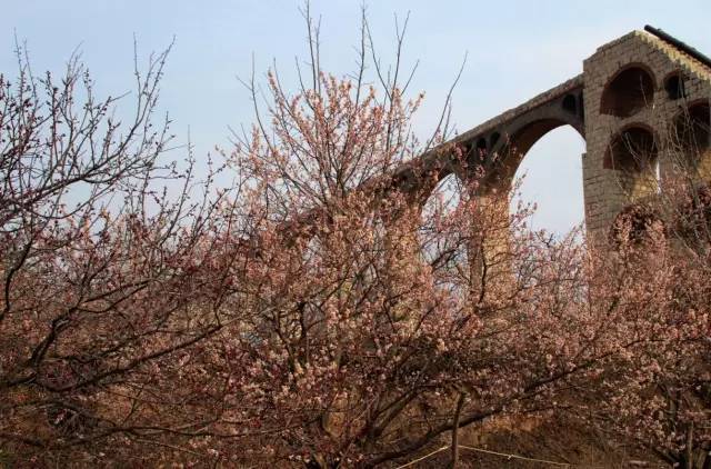 冒牌老爸 视频截图