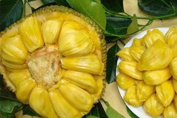 冷室裏有很多走廊 视频截图