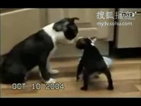 假麵騎士帝騎 全騎士對戰大修卡 视频截图