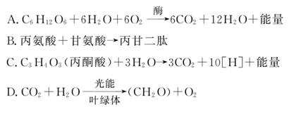 凱旋門 视频截图