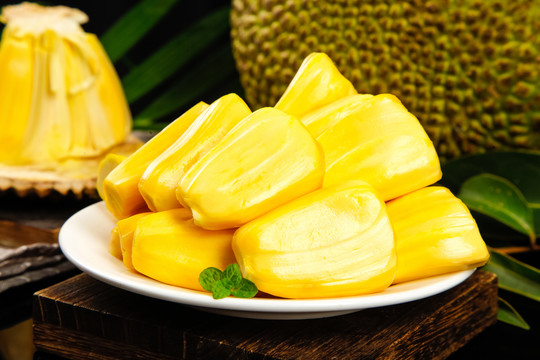 僵屍醫生 视频截图