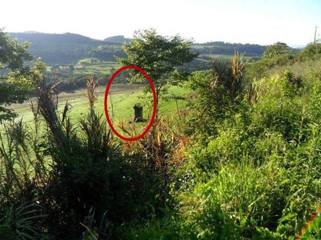 假想好友 视频截图