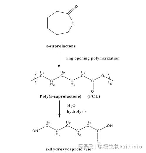 傷痕累累 视频截图