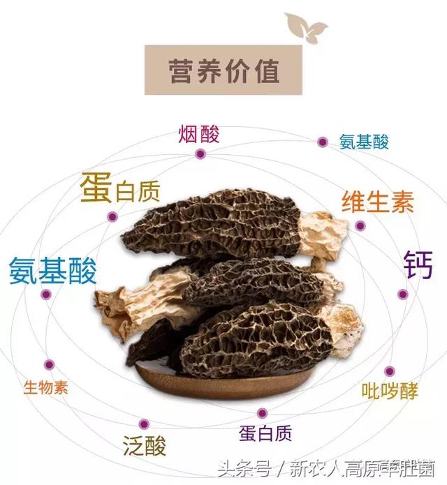 僵屍之地 视频截图