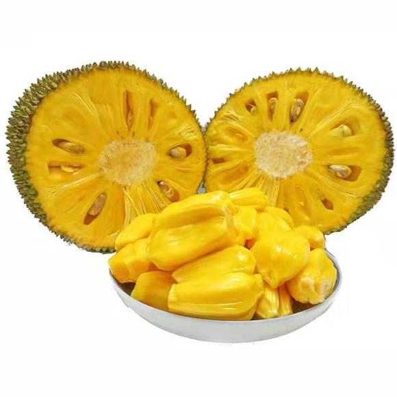 聖安地列斯地震 视频截图