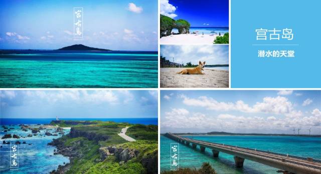 修女傳 视频截图