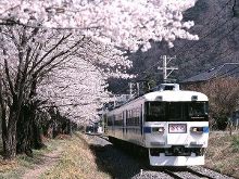 冰川時代：巴克·懷爾德的冒險之旅 视频截图