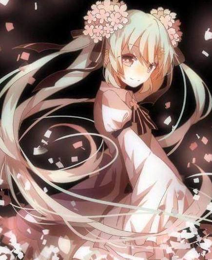 你好現任 视频截图