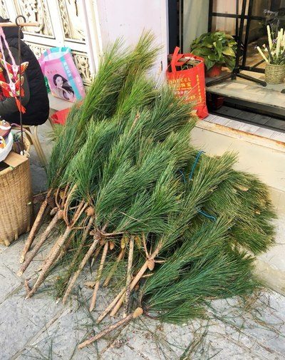 修複體 视频截图