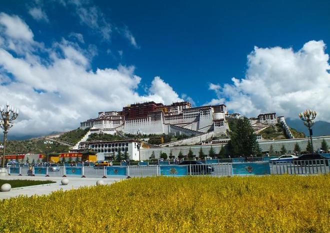 冬去冬又來 视频截图