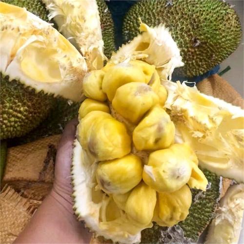 再造初戀 视频截图