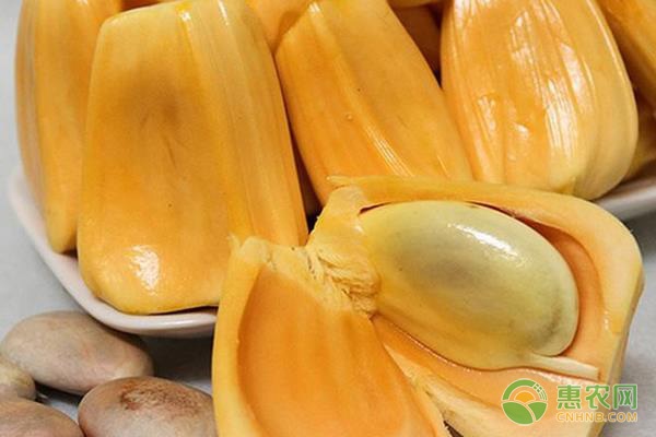 冷血狂宴 视频截图