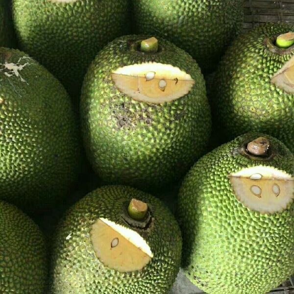 再造初戀 视频截图