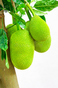 催眠對決 视频截图