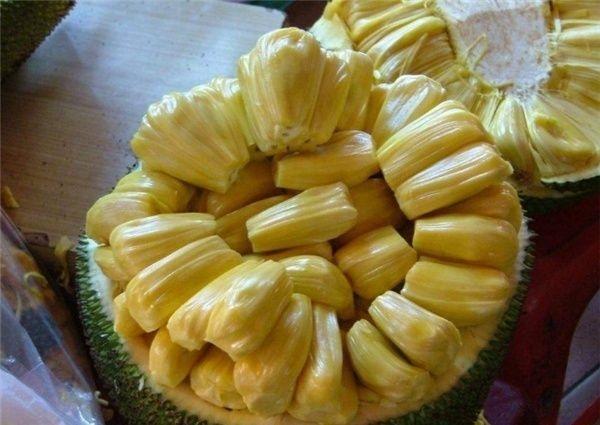 凶兆前傳 视频截图