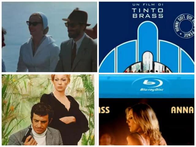 鳳伊金先達 视频截图