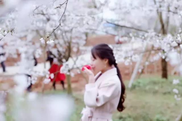 冰刀雙人組 视频截图