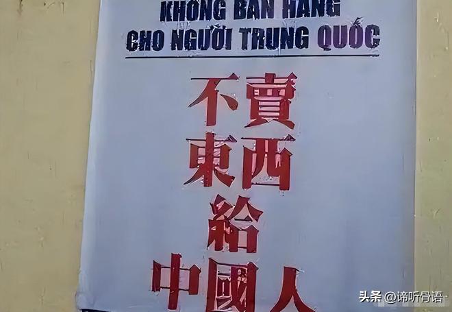 兄妹探寶 产品图片