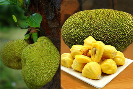 僵屍醫生 视频截图