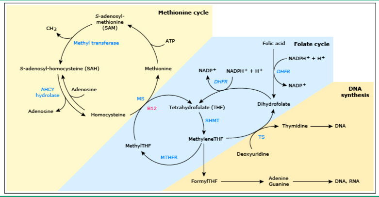 伊阿索密碼 视频截图