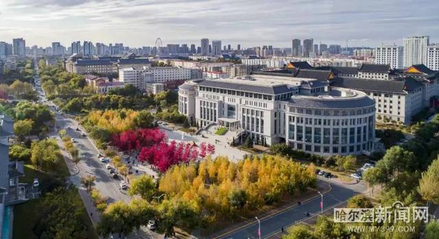 冒險家：寶盒的詛咒 视频截图