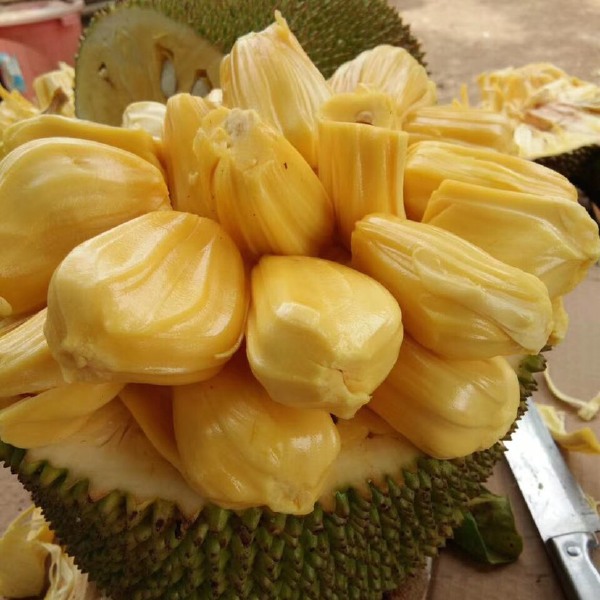 凶火 （國語版） 产品图片