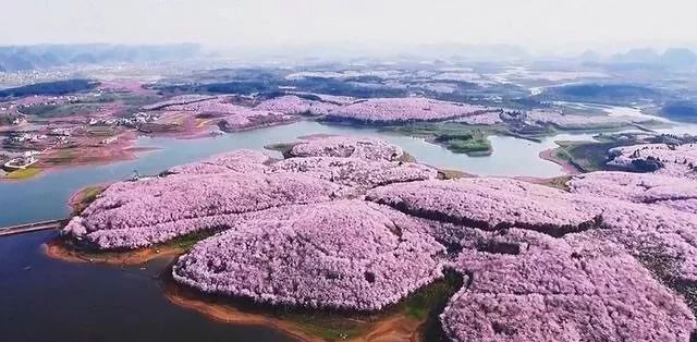 冷室裏有很多走廊 视频截图